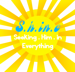 seeking him in everything